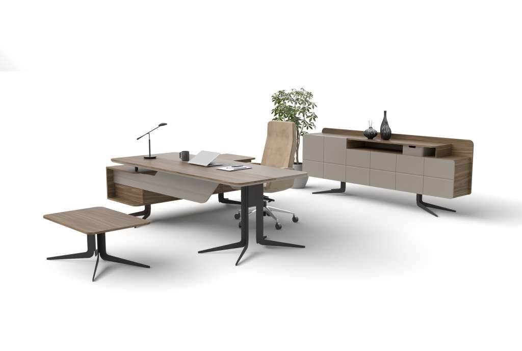 Ole  Yönetici Takımı